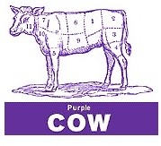 purple cow